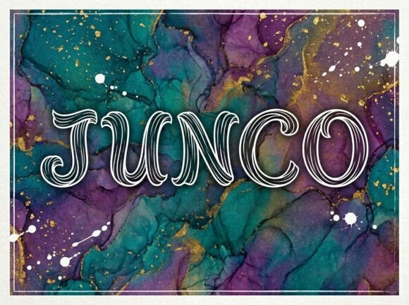Junco: Evaluating a Fluid Display Typeface for Expressive Branding